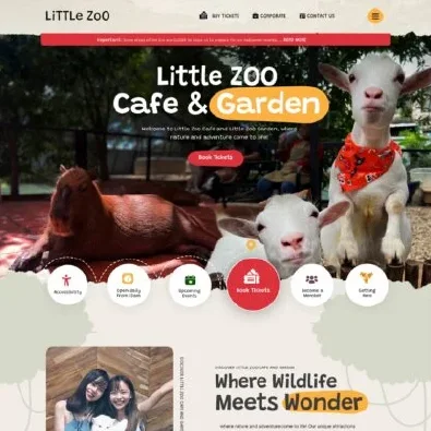 Web Design portfolio